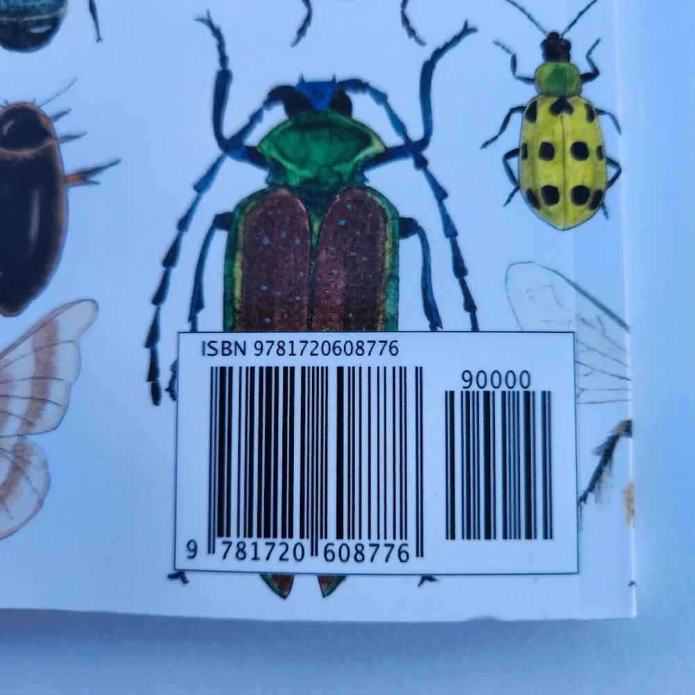 NEW Nature Journal Drawing Book Kids Workbook for Children Insects Insect Bees B